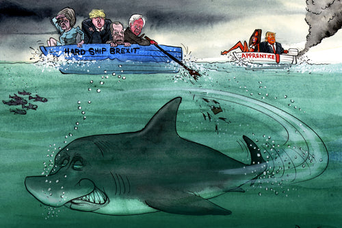 Putin shark