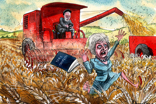 Wheatfield May harvester